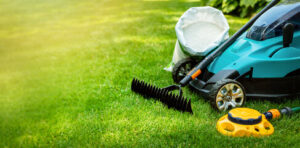 lawn care